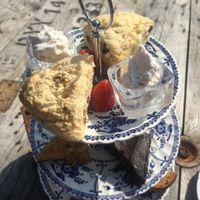 Afternoon tea- must book in advance  at The Green Place in Sileby