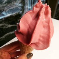 vegan soft serve at IKEA in Groningen