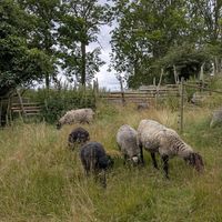  at Flättinge Gårdscafe in Huskvarna