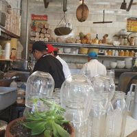 sitting at the bar at The Butcher's Daughter - Nolita in New York City