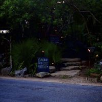 Delicious food, one of my favorite vegan restaurants I have ever eaten! Really special to find such beautiful food in the middel of the jungle, the atmosphere is great.. For everybody who loves food, my carnivore friends didn't miss meat at all :-) at Restaurare in Tulum