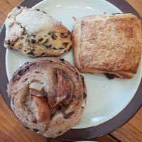 Sweets at Crumbs Organic Bakehouse in Kensington