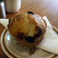 Blueberry muffin at Crumbs Organic Bakehouse in Kensington