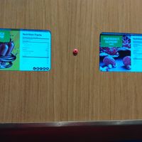 2 of the 4 vegan flavors on 7/30/23 are fudgicle and raspberry at 16 Handles  in Naples