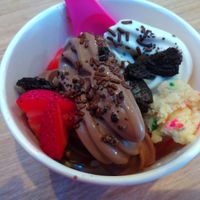 Oatly chocolate, Oatly vanilla, Oreo crumbles, vegan cookie dough, strawberries and sprinkles at 16 Handles  in Naples