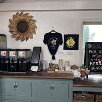   at Sunflower Cafe in Nashville