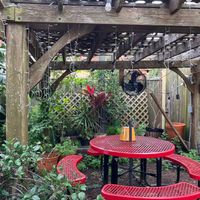  at Gourmet Garden Indian Restaurant in St Augustine