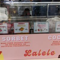 Vegan ice cream flavors at Lalele Organic Gelato  in Auckland