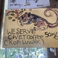 They have Civet coffee   at Water Castle Cafe in Yogyakarta