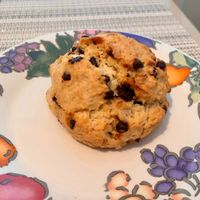 Chocolate Chip Scone at Magic Brain Cafe in Cape May