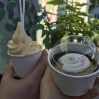   at Alkaline Allie in Cincinnati