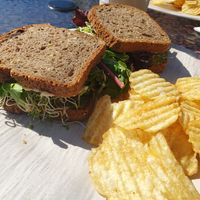 Loaded Veggie - full sized sandwich at Cosmic Veggies in Oak Harbor
