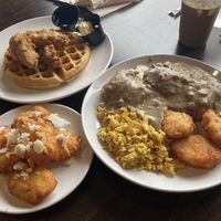 Chicken and waffle, biscuits and gravy with hash tots and scramble, garlic parm hash tots  at Bed Head Vegan Brunch House in Bethlehem
