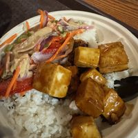Tofu rice bowl was a great light option   at Walt Disney World - Backlot Express  in Lake Buena Vista