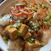Teriyaki Tofu Bowl  at Walt Disney World - Backlot Express  in Lake Buena Vista