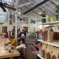 Inside  at Farmers Union Coffee Roasters in Eugene