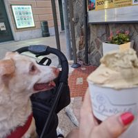  at Cremeria Garibaldi in Levanto