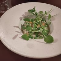 Vegan risotto with baby carrots and mushroom sauce at Theo in Copenhagen