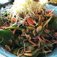 Sweet Bones Wildwood Salad at Scullin Sweet Bones in Scullin