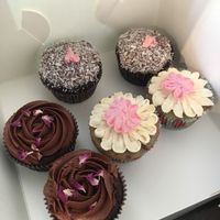 Cupcakes at Scullin Sweet Bones in Scullin