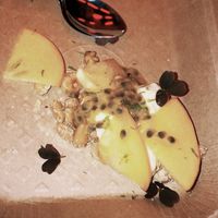 Caqui y crema  at Duro De Matar in Lisbon