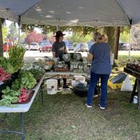 Vendor at Bremerton Community Farmers Market in Bremerton