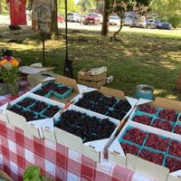 Vendor at Bremerton Community Farmers Market in Bremerton