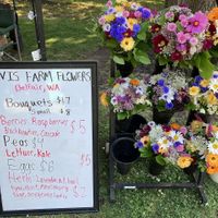 Vendor at Bremerton Community Farmers Market in Bremerton