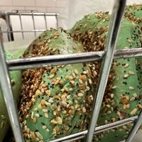 bagels jalapeño 🌶️  at Tompkins Square Bagels in New York City