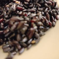 Arroz negro at Greentable Itaim Bibi in Sao Paulo