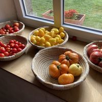 Tolle Tomaten  at Wintruper Hofgemüse - Farm Shop in Steinheim