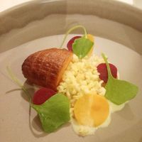 Gebakken flespompoen in een marinade van roodwier at Vannu in Breda