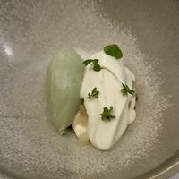Sweet dessert: homemade pumpkin seed ice cream with spinach and salted lemon creamm  at Vannu in Breda