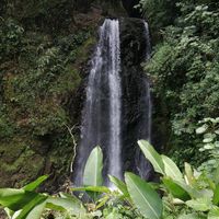  at El Tigre Waterfalls Monteverde in Monteverde