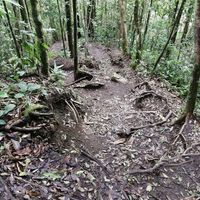  at El Tigre Waterfalls Monteverde in Monteverde