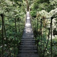  at El Tigre Waterfalls Monteverde in Monteverde