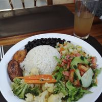  at El Tigre Waterfalls Monteverde in Monteverde