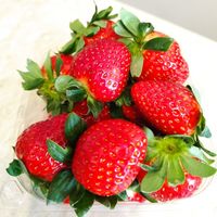  at inocent in Timisoara