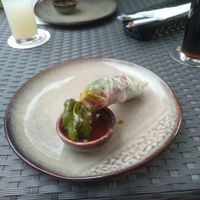 Summer rolls as a starter. Can fully recommend it at Dam Restaurant in Hamburg