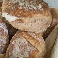Pão saloio at Mr Portuguese Bakery in Faro