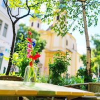  at die freunderlwirtschaft in Vienna