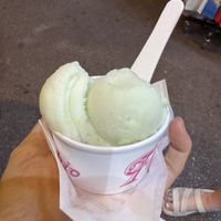 Cactus sorbet! (mild flavor, almost lightly citrusy)  at Fenocchio - Rue de la Poissonnerie in Nice