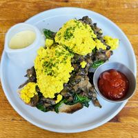 Woodland   at Yolk. in Nottingham