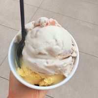   at Swanky Scoop in Woodinville
