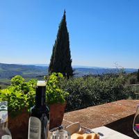  at Ristorante Il Vescovino in Florence