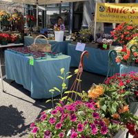 Vendor  at Port Townsend Farmers Market in Port Townsend
