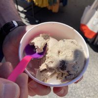 Dairy- free ice cream from Fiddlehead Creamery at Port Townsend Farmers Market in Port Townsend