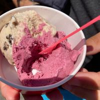 Coffee Chocolate Chunk and Raspberry Basil at Fiddlehead Creamery in Port Townsend