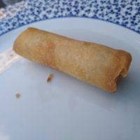 Vegetable spring roll at Yim Wah Express in Cambridge