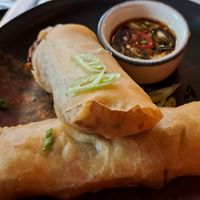 Not chicken curry spring roll at August House in Glasgow